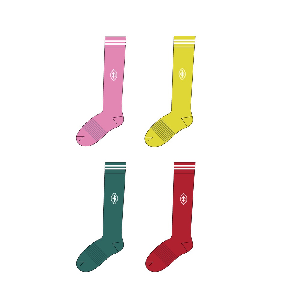 House Sports Socks